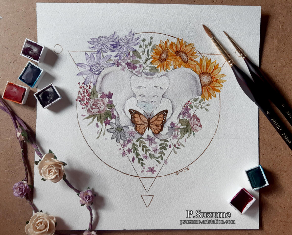 Pelvis - Watercolor on paper